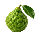 Bergamot